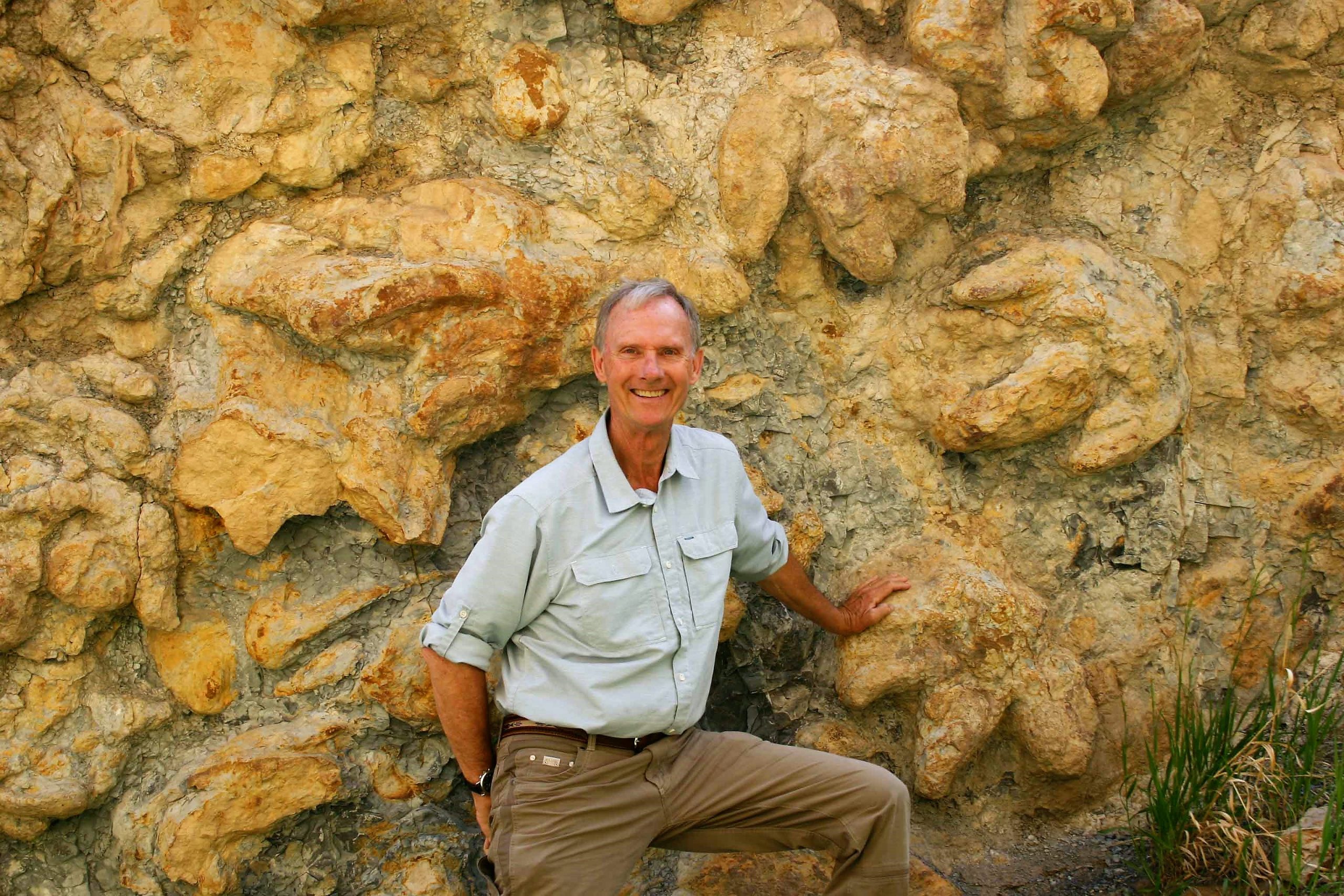 Hawks Nest Dinosaur Track Site